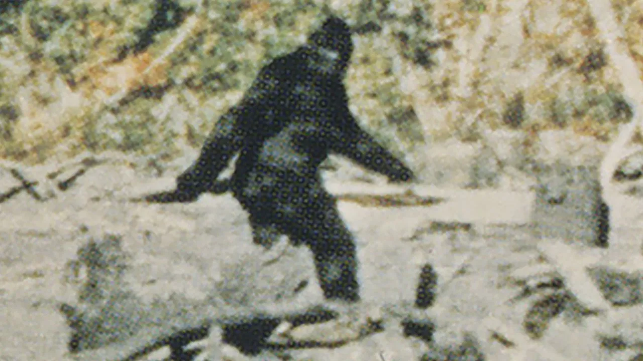 Imagem: Crítica de Capturing Bigfoot
