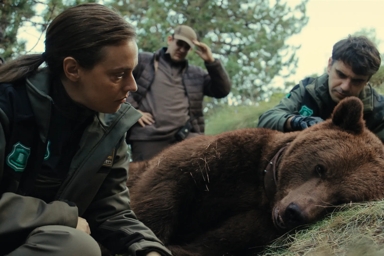 Imagem: ‘Killing a Bear’, da Movistar Plus e Arte France: um mistério de assassinato inspirado em fatos reais cuja vítima é um urso-pardo dos Pirineus
