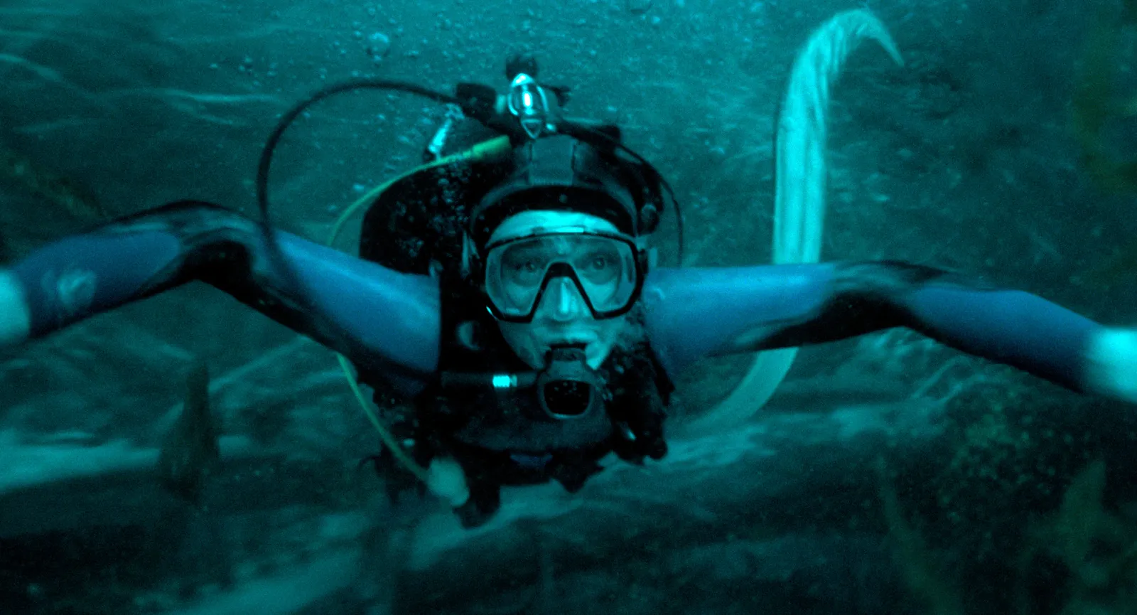Imagem: Como o diretor e o autor de ‘Whalefall’ entrelaçaram o fim de uma relação pai e filho em uma história de sobrevivência