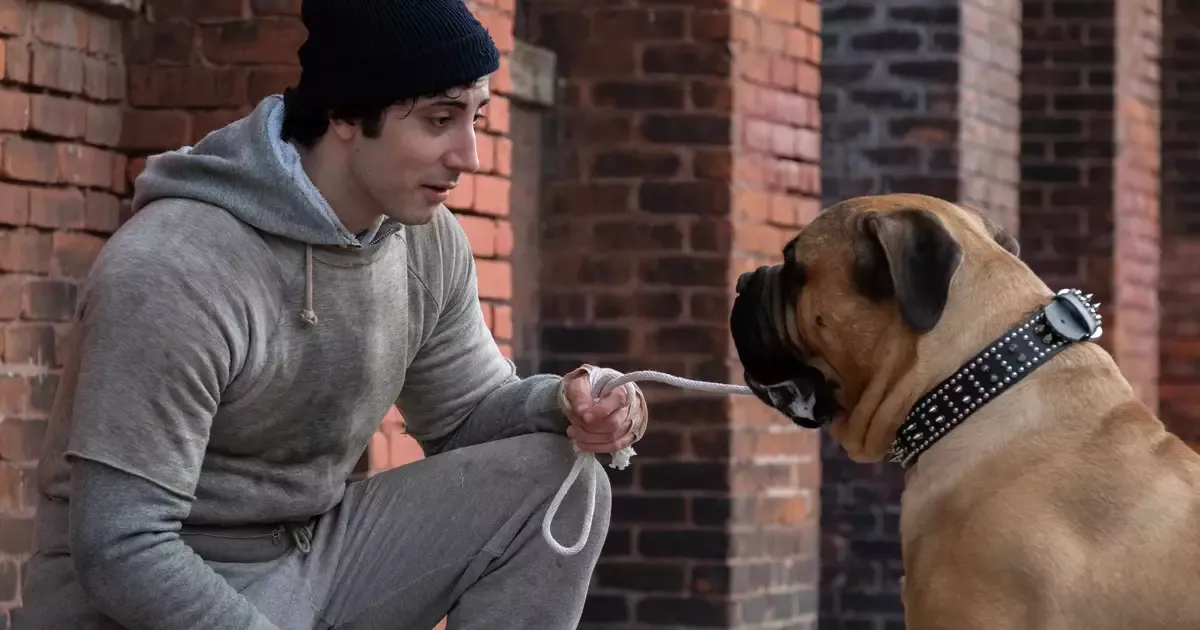 Imagem: Eu Sou o Rocky | Filme sobre Sylvester Stallone ganha novo trailer; assista