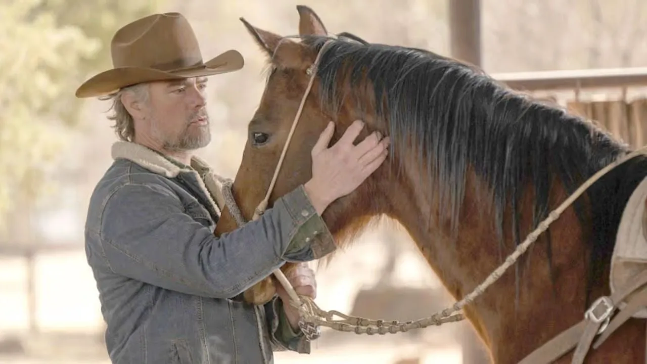 Imagem: Netflix ataca novamente: Concorrente de Yellowstone é cancelada após apenas 2 temporadas – embora a 3ª já estivesse planejada