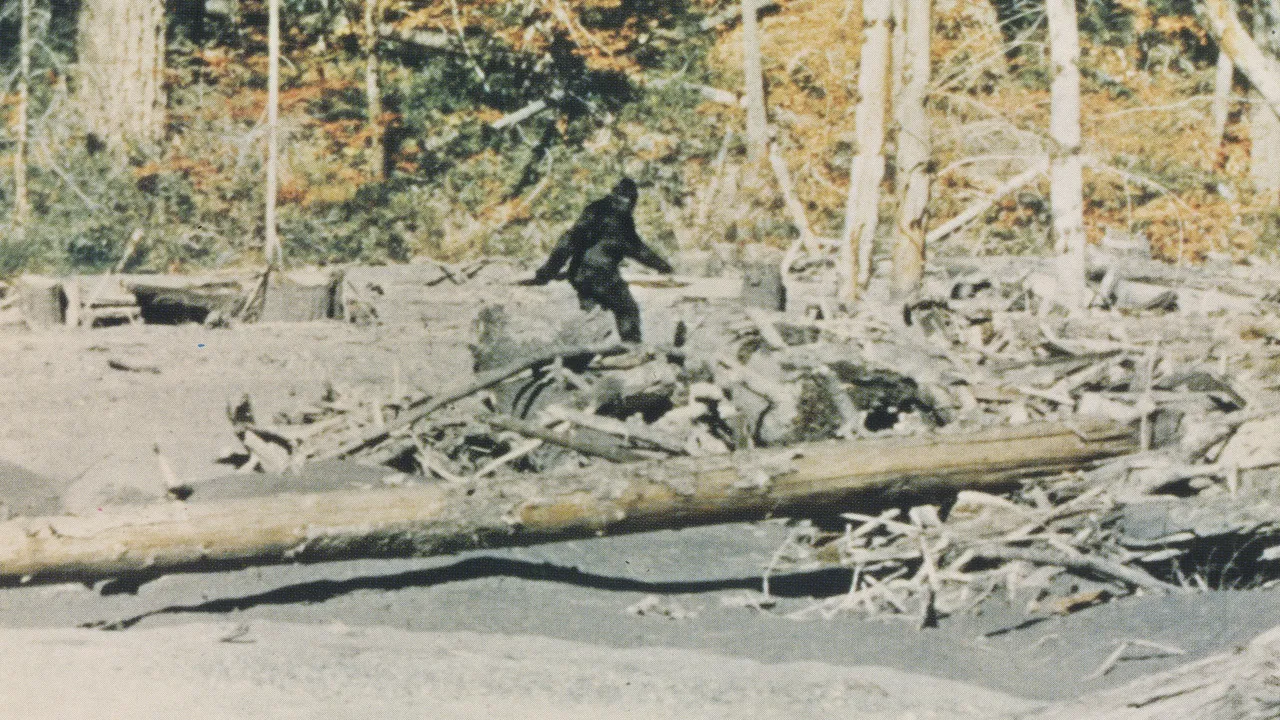 Imagem: ‘Capturing Bigfoot’ | Crítica: Documentário Impressionante Revela a Verdade