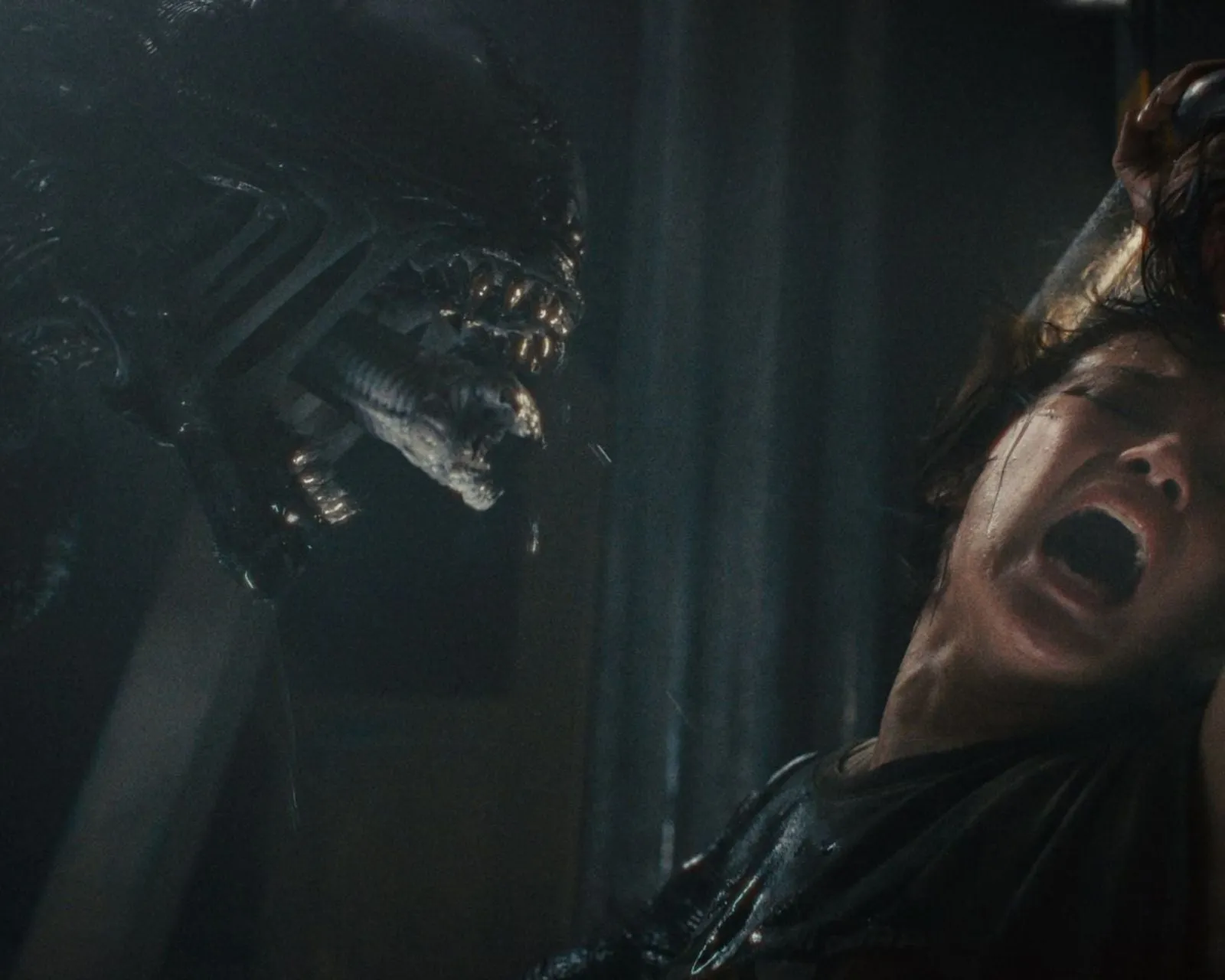 Imagem: Ridley Scott confirma que está reescrevendo o roteiro do novo filme Alien após assistir a Romulus: "Acho que eles precisam de ajuda"
